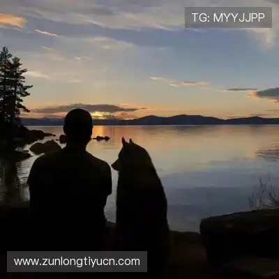冯苹菱